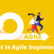 What is agile beginner?