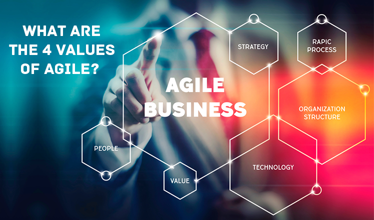 What are the 4 values of agile?