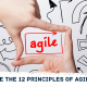 what are the 12 principles of agile?