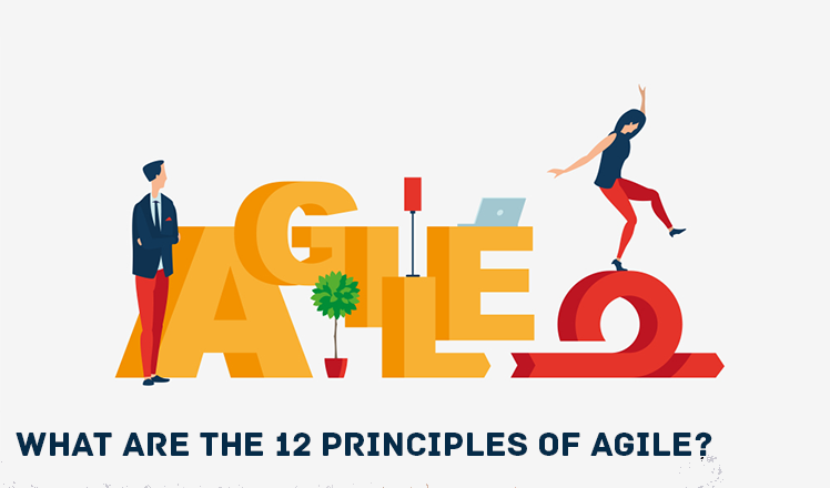 what are the 12 principles of agile